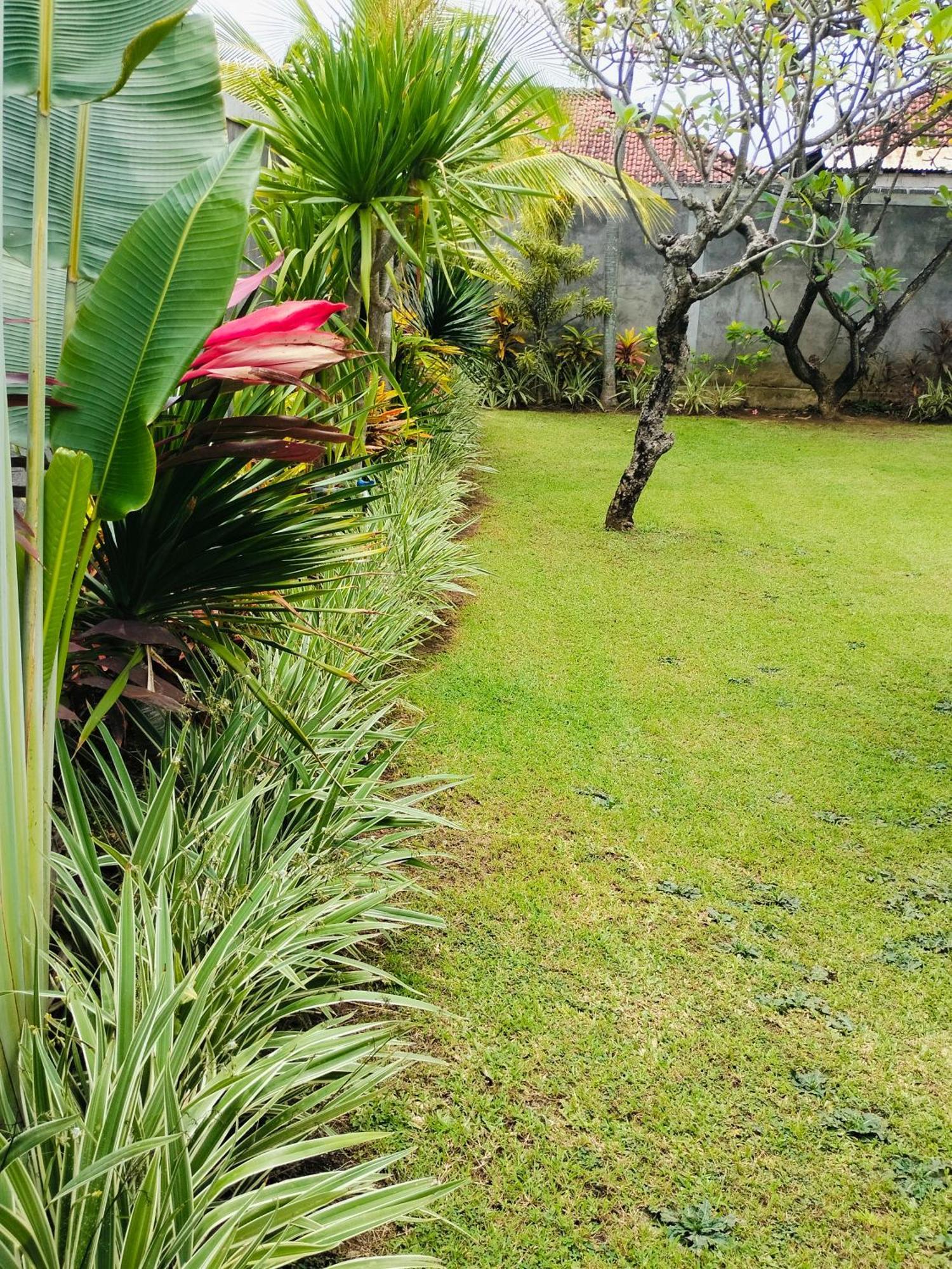 Bayumantra Bungalows Lovina Exterior foto